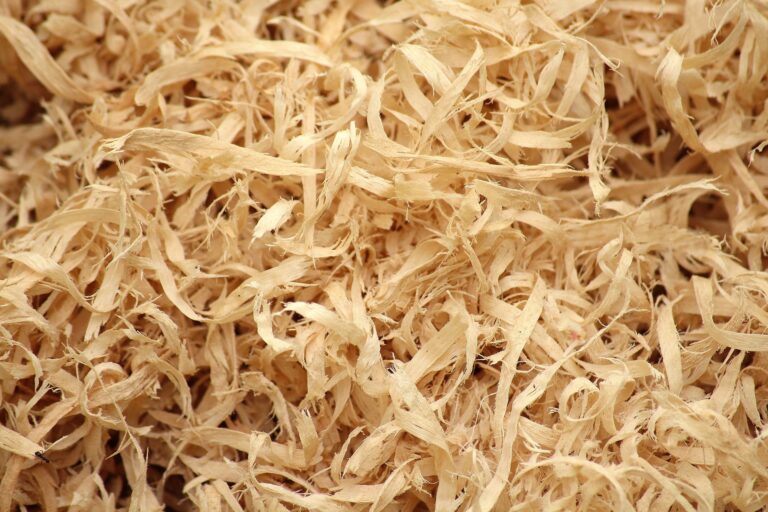 shavings-3374070_1920